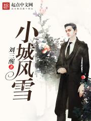 小城凤凰节选阅读理解答案