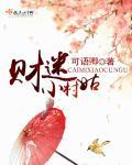 财迷小医妃全文阅读