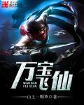 万宝啥意思