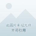 篡天命百度百科